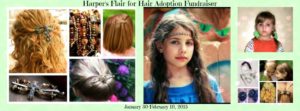 Harper's Flair for Hair Adoption Fundraiser http://www.lillarose.biz/parties/8523